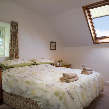 Garden Cottage Newcastle Emlyn Zewnętrze zdjęcie