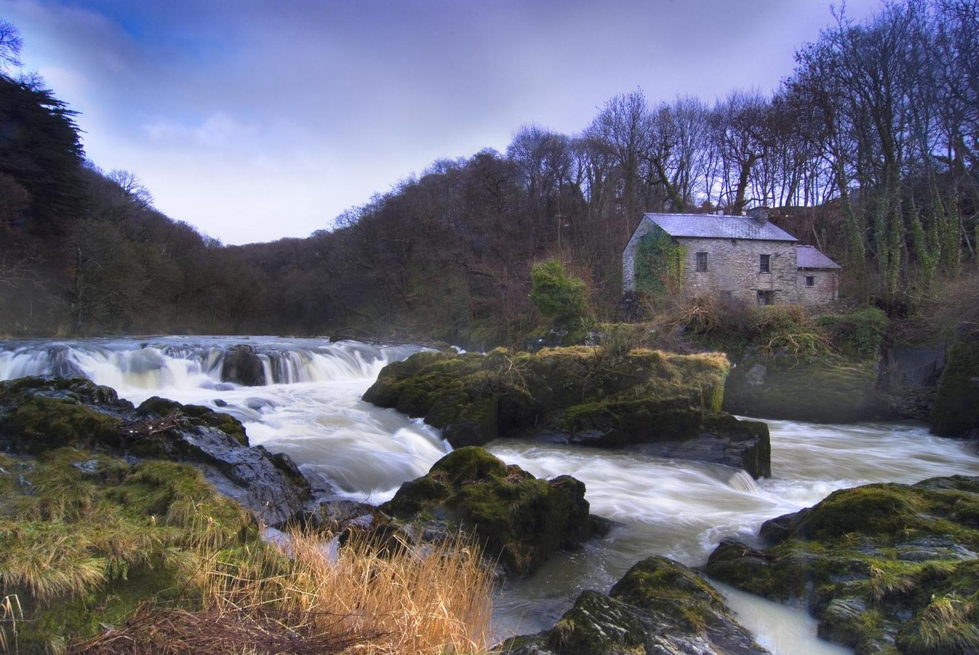 Garden Cottage Newcastle Emlyn Zewnętrze zdjęcie